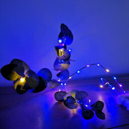 Samuel Alexander 50 Led 2.5M Premier Microbrights Indoor Outdoor Christmas Multi Function Battery Operated Lights With Timer On Pin Wire In Rainbow - thumbnail 3