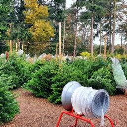 True Products 65Cm Oxo-Biodegradable Christmas Tree Lz  Netting - 2000M Bale For Trees 10Ft To 12Ft - thumbnail 3