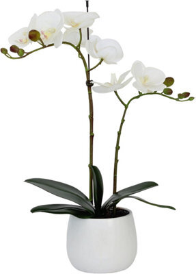 Greenbrokers Elegant Double Stem White Real Touch Artificial Potted Orchid (46Cm) In Round White Ceramic Pot - image 1