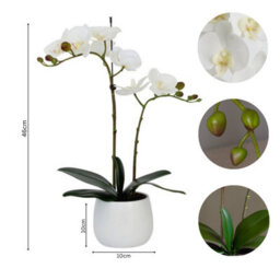 Greenbrokers Elegant Double Stem White Real Touch Artificial Potted Orchid (46Cm) In Round White Ceramic Pot - thumbnail 4