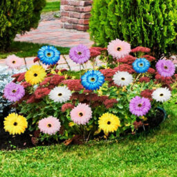 10 Pack Multicolor Artificial Garden Flowers - Plantable Decorations 30 Cm - thumbnail 4