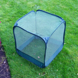 Gardenskill Pop-Up Mini Pot Plant, Seedling & Herb Cover Grow House Cloche 0.5M H - thumbnail 3