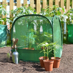 Gardenskill Pop-Up Mini Pot Plant, Seedling & Herb Cover Grow House Cloche 0.5M H - thumbnail 1