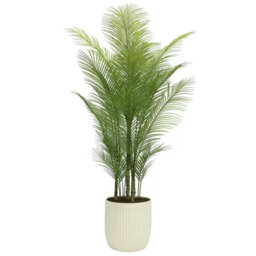 Xample Artificial 6.5Ft Palm Tree With Ribbed Planter, Realistic Faux Tropical Plant For Home Office Indoor Décor, Easy Assembly - thumbnail 4