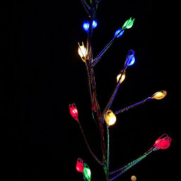 Samuel Alexander 800 Led 5.5M Premier Christmas Indoor Outdoor Wire Cluster Lights With Timer In Multicoloured - thumbnail 4