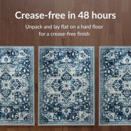 Imperial Rooms Homeware Soft Pile Small Rug Living Room Rugs Anti Slip Doormat Rug Kitchen Rugs Tranquil 40X60Cm - thumbnail 4