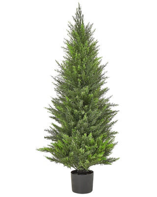 Wyld And Coco 120Cm Artificial Cedar Tree With Wood-Effect Trunk, Indoor And Sheltered Outdoor, Green - image 1