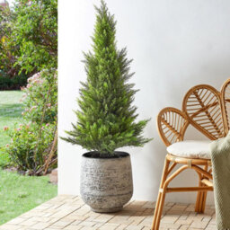 Wyld And Coco 120Cm Artificial Cedar Tree With Wood-Effect Trunk, Indoor And Sheltered Outdoor, Green - thumbnail 2