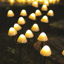 Carbeth Plants Solar Led Mushroom String Lights Set Of 10 - 3.8M Warm White Outdoor Fairy Lights - thumbnail 4
