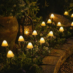 Carbeth Plants Solar Led Mushroom String Lights Set Of 10 - 3.8M Warm White Outdoor Fairy Lights - thumbnail 2