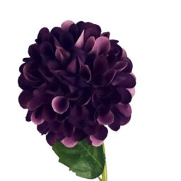 Leaf Pack Of 6 X 75Cm Artificial Dahlia Pompom Flower Stem Purple - thumbnail 4