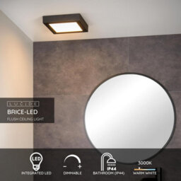 Lucide Brice-Led Modern Flush Ceiling Light Bathroom - Led Dim. - 1X20W 3000K - Ip44 - Black - thumbnail 2
