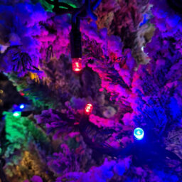 Samuel Alexander 100 Led 8M Premier Christmas Connectable Outdoor Static Lights In Multicoloured - thumbnail 4