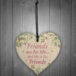 Red Ocean Friends Are For Life Sign Friendship Plaque Birthday Christmas Gift For Friend Keepsake - thumbnail 2