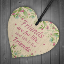 Red Ocean Friends Are For Life Sign Friendship Plaque Birthday Christmas Gift For Friend Keepsake - thumbnail 6