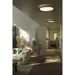 Luminosa Lighting Luminosa Tender Led Flush Ceiling Lamp Black 24W 3000K - thumbnail 2