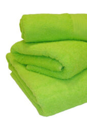 Chatsworth Egyptian Cotton 2 Piece Towel Bale - Lime