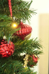 Christmas Tree World 7Ft/210Cm Pre-Lit Pop Up Tree With Warm White Lights - thumbnail 5