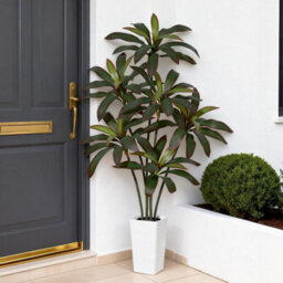 London Boutique 180 Cm Artificial Dracaena Tree, Faux Indoor Plant In Pot, Silk Leaves, Wood Trunk, Floor Tree Decor - thumbnail 5