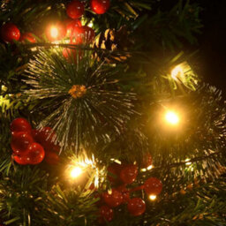 Berkfield Artificial Pathway Christmas Trees With Leds 2 Pcs 76 Cm Pvc - thumbnail 6