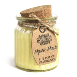 Mystic Musk Soy Pot Of Fragrance Candles - thumbnail 1