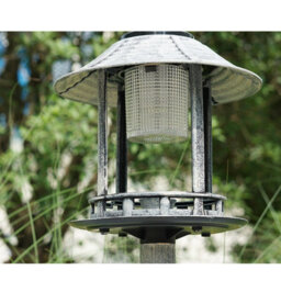 Gr8 Garden Grey Pedestal Bird Bath Feeder Planter Solar Light Garden Feeding Table Station - thumbnail 5