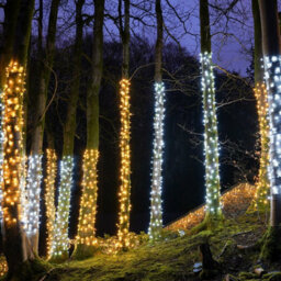 Festive Lights - Connectpro 5M White Outdoor Ip65 Connectable Led Christmas Fairy String Lights - No Plug - thumbnail 4