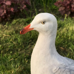 Animal Crackers Seagull On Post Figurine Indoor Or Outdoor Ornament Or Nautical Decoration (Height 32Cm Inc Post) - thumbnail 5