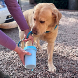 Henry Wag Pet Paw Cleaner & Noodle Glove Towel Combo - thumbnail 2