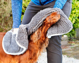 Henry Wag Pet Paw Cleaner & Noodle Glove Towel Combo - thumbnail 7