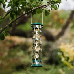 Peckish Stainless Steel Energy Ball Green All Weather Bird Feeder 0.7L - thumbnail 2