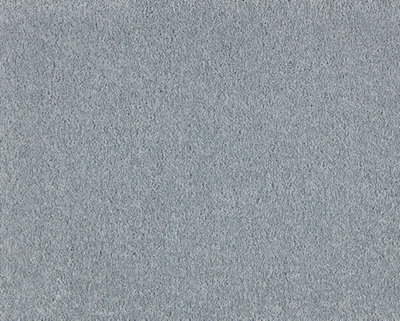 Soft Distinction Carpet By Remland (Metal, 5M X 4M) - image 1