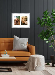 10X8 Inch 2 Opening Photo Collage Frame, Display Two 6X4 Inch Photos, Multi Aperture Family Picture Frame, Silver - thumbnail 3