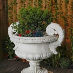 Pair Of Large Edwardian Stone Vase On Plinths - thumbnail 5