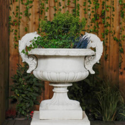 Pair Of Large Edwardian Stone Vase On Plinths - thumbnail 7