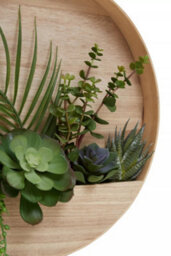Premier Housewares Interiors By Premier Mixed Succulents In Wood Wall Planter, Faux Succulents In Round Wooden Frame, Farmhouse Wall Art - thumbnail 6