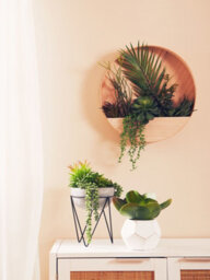 Premier Housewares Interiors By Premier Mixed Succulents In Wood Wall Planter, Faux Succulents In Round Wooden Frame, Farmhouse Wall Art - thumbnail 8