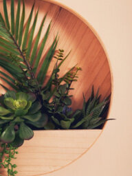 Premier Housewares Interiors By Premier Mixed Succulents In Wood Wall Planter, Faux Succulents In Round Wooden Frame, Farmhouse Wall Art - thumbnail 9