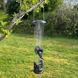 Selections Large Hanging Garden Bird Seed Feeders (Set Of 4) - thumbnail 6