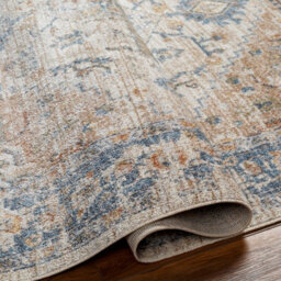 Livabliss Lillian-Washable Blue Brown Traditional Vintage Boho Living Dining Rug 66 X 115 Cm Easy Care, Non Shedding - thumbnail 3