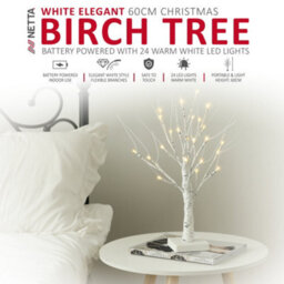 Netta 2Ft Twig Birch Tree With Pre-Lit With 24 Warm White Leds - Battery Powered - White - thumbnail 2