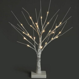 Netta 2Ft Twig Birch Tree With Pre-Lit With 24 Warm White Leds - Battery Powered - White