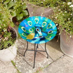 Marco Paul Peacock Glass Birdbath - thumbnail 2