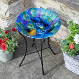 Marco Paul Peacock Glass Birdbath