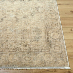 Livabliss Galey Alix Fetscher-Vintage Beige Brown Green Traditional Vintage Boho Fringe Living Dining Bedroom Rug 152 X 229 Cm Easy Care - thumbnail 5