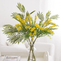 Bloom Apothecary Jar Vase - Clear Hand-Blown Glass Vase For Fresh Or Artificial Flower Stem Bouquet Arrangements - Measures 20 X 10Cm - thumbnail 2
