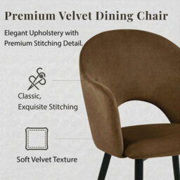 Evre Hailey Brown Velvet Dining Chairs Set Of 2 Upholstered Chairs With Arms & Metal Legs - thumbnail 4