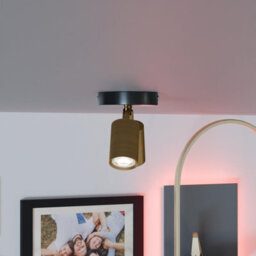 Industrial Ceiling Light 2 Way Adjustable Spotlight Gu10 Rotatable Dual Head Metal Ceiling Light For Bedroom Living Room - thumbnail 7