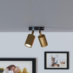 Industrial Ceiling Light 2 Way Adjustable Spotlight Gu10 Rotatable Dual Head Metal Ceiling Light For Bedroom Living Room - thumbnail 2