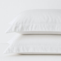 Cool & Comfy Silk Oxford Pillowcase Pair (Eucalyptus)